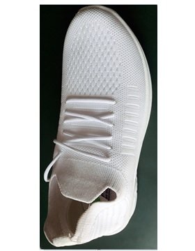 White Canvas Shoes for Women